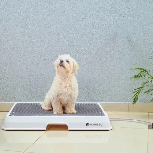 Weasy Cão | Banheiro inteligente para cachorro