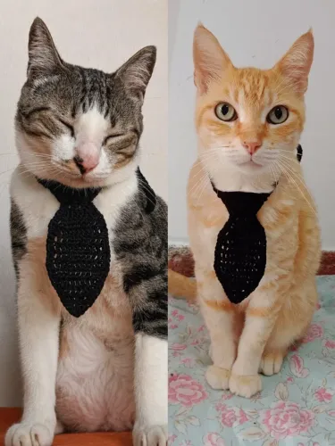 Gravata em crochê para pet