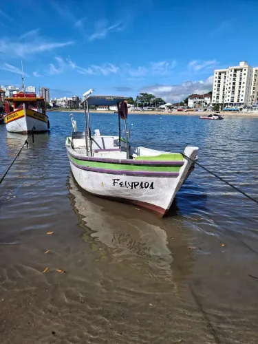 Vendo barco de madeira novo