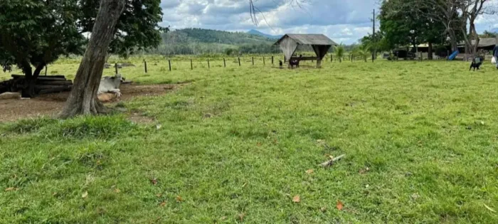VENDE-SE FAZENDA - REGIÃO DO AMAJARI<br>