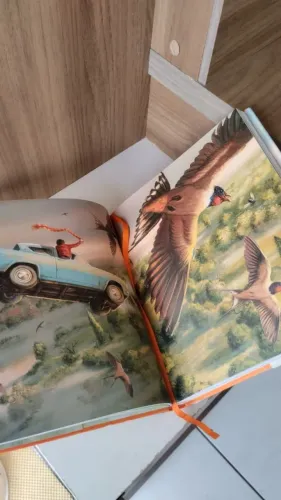 Harry Potter e a Câmara Secreta Ilustrado - Edição Nacional