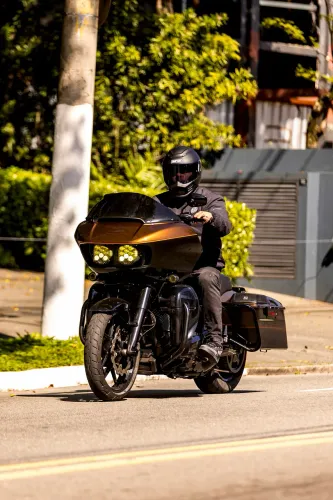 Harley Edição de Aniversário 110 anos raríssima