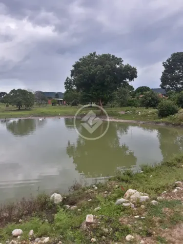 FAZENDA EM SÃO SALVADOR NO TOCANTINS codigo: 153009