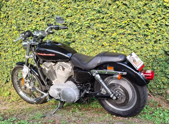 Harley Davidson Sportster 883 Custom