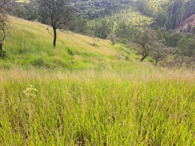 Fazenda/Sítio/Chácara para venda com 20000 metros quadrados em Zona Rural - Morungaba - SP