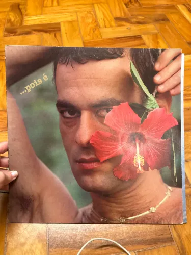 Disco de Vinil - Ney Matogrosso ?Pois É? (1983) - Excelente Estado