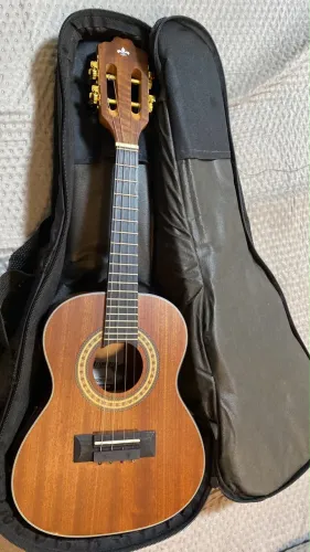 CAVACO ELÉTRICO - Strinberg Cs25 Mgs