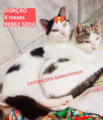 IRMÃOS PRA DOAÇÃO 