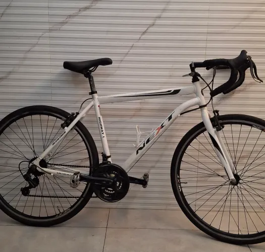 Bicicleta Speed