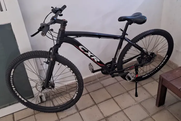 Bike Aro 29