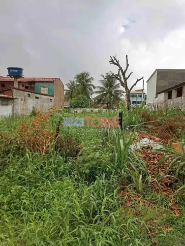 Terreno padrão à Venda, São Domingos, Ilhéus, BA