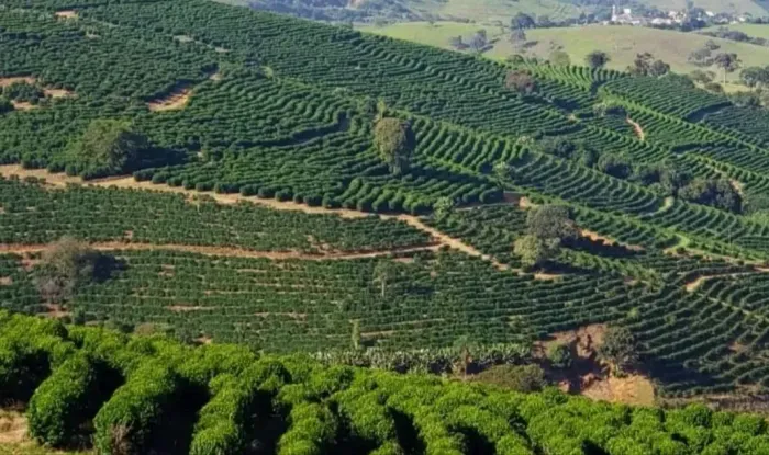 Imóvel para venda tem 1258400 metros quadrados em Zona Rural - São Lourenço - MG