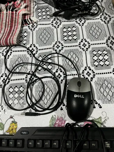 Teclado e mouse
