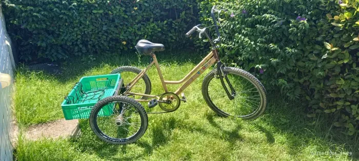 Triciclo adulto