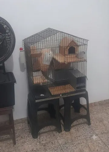 Gaiola para roedores