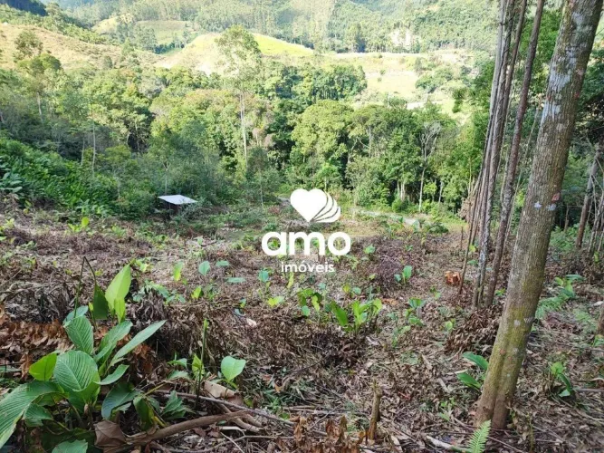 TERRENO Á VENDA, BAIRRO ÁGUAS NEGRAS.- BOTUVERÁ-SC