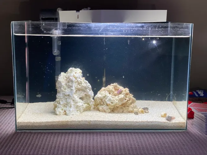 Aquário marinho completo