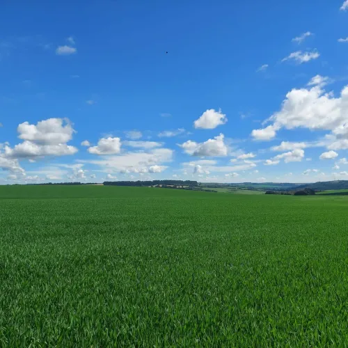Porto Amazonas, Fazenda De Frente Rodovia, 287 Hectares, 118 Alqueires, Plantando 60%, Dup