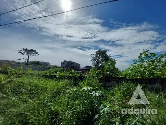 Terreno à venda 490 m², Oficinas, Ponta Grossa - PR
