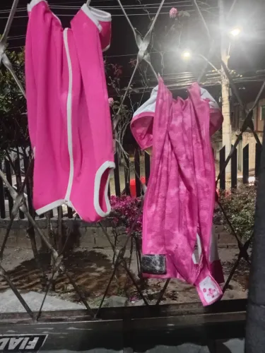 Roupa pós cirurgia pet