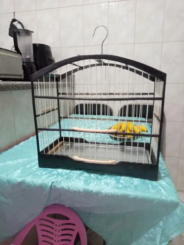 Gaiola pra trinca ferro