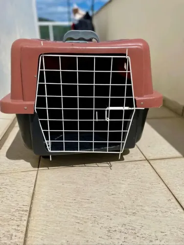Caixa Transporte para Pet
