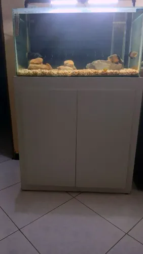 Aquário com sump