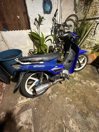 Fênix pra vender, com garantia