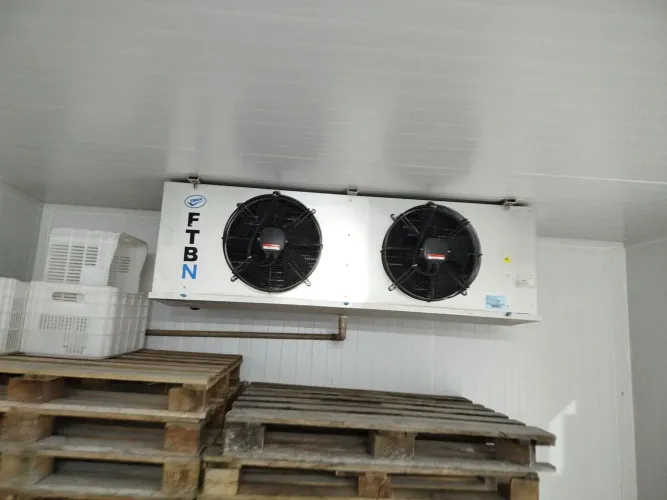 Camara resfriada e congelada pra venda ou aluguel!!