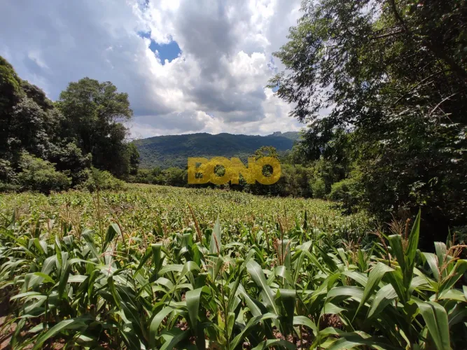 Chácara à venda na 3ª Légua - Caxias do Sul
