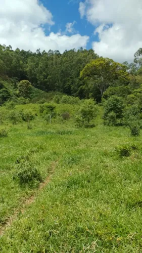 Terreno rural de 14 Ha em Cristina MG