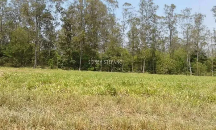 Terreno fundo para área verde no Santa Bárbara Resort Residence