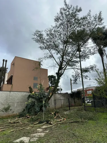 Poda e Corte de árvores