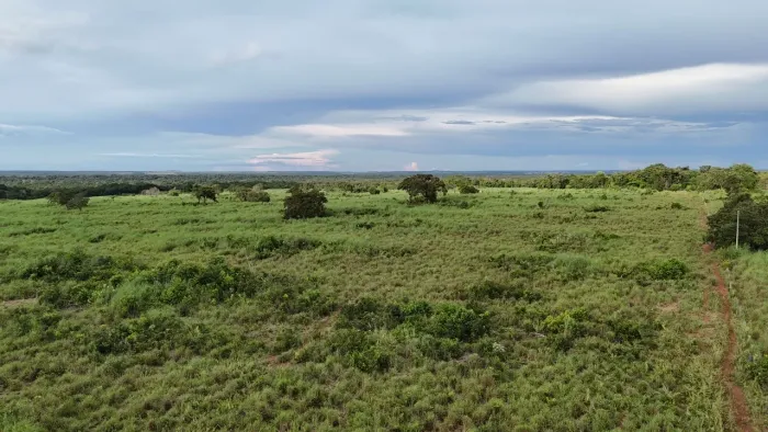 Fazenda 170 Alqueires região nobre só 78 mil o alqueires