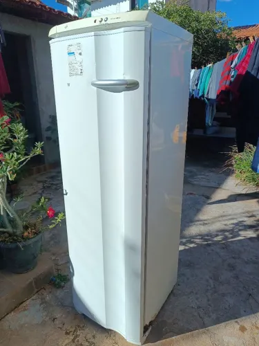 Freezer Electrolux