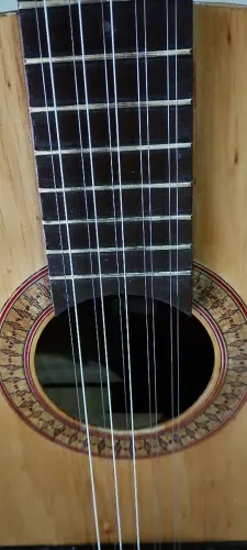 Viola caipira