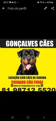Locação de cão de guarda. Zap *