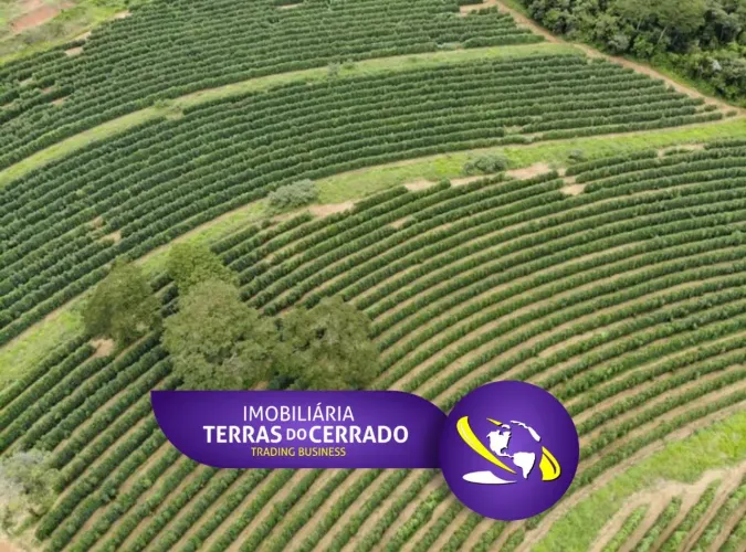 FAZENDA COM 390HEC PRA CAFÉ, BEBIDA DE QUALIDADE!!