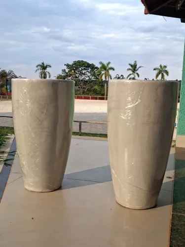 Vasos e plantas