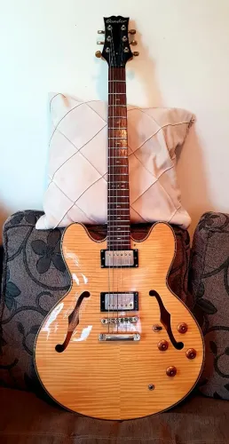 Guitarra Semi-Acústica