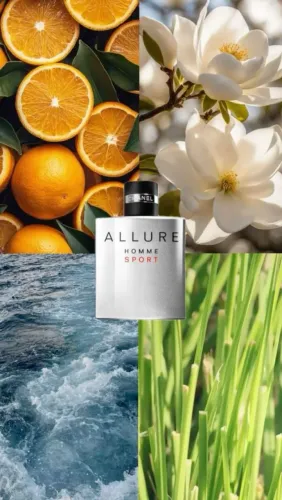 Alurre Sport
