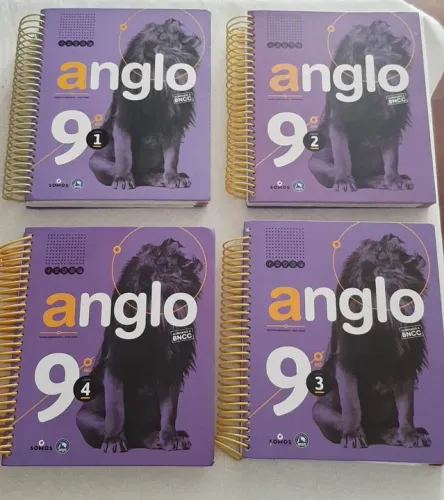 Livros didáticos escolar 9º ano coleção Anglo