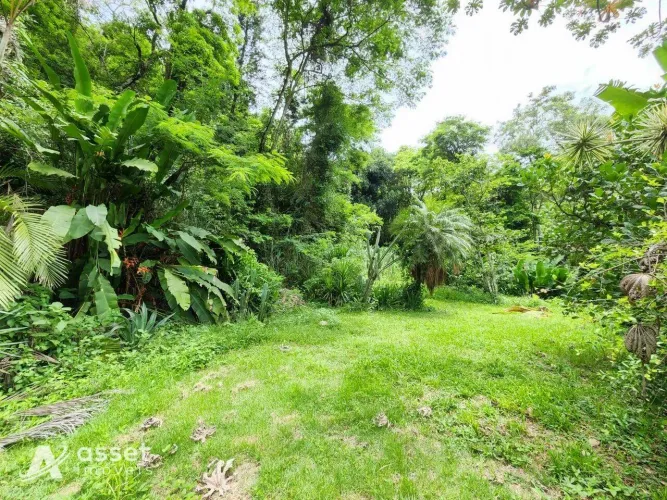 Asset Imóveis vende sítio, 164.347m² (16,434 hectares), por R$ 3.600.000 - Engenho do Mato