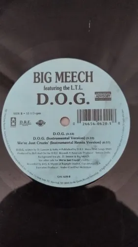 Disco de Vinil Big Meech - D.O.G.