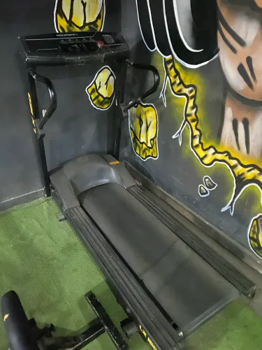 Esteira profissional