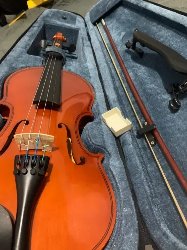 Violino