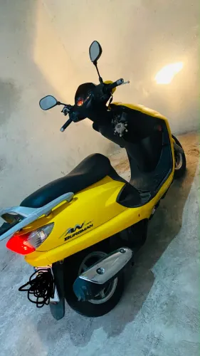Burgman 2007