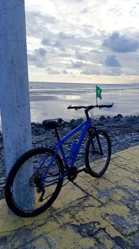 BIKE ARO 29