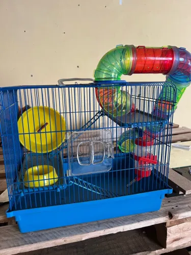 Gaiola para hamster e roedores pequenos 