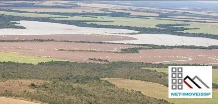 VENDA FAZENDA (17.531 hec). DUPLA APTIDÃO, ALTA PRODUTIVADADE E INFRAESTRUTURA COMPLETA
